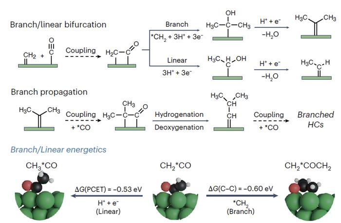 Nickel catalyst opens door to sustainable, branched hydrocarbon fuels 2