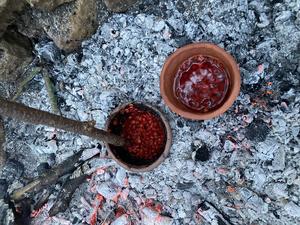 Selective culinary uses of plant foods by Northern and Eastern European hunter-gatherer-fishers