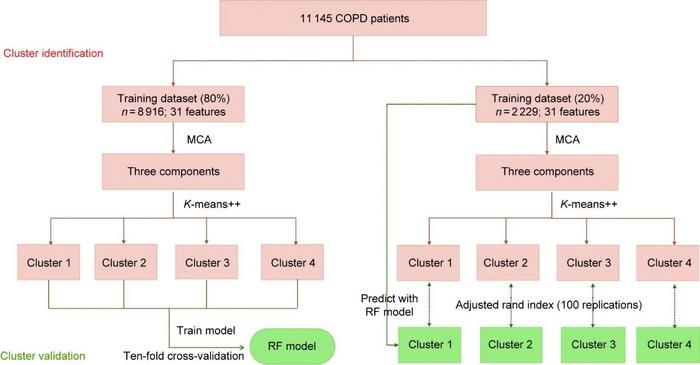 Main steps in cluster identification and validation.
