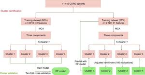 Main steps in cluster identification and validation.