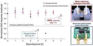 Seven-hour stability of insect-antenna EAG responses using a water-retaining hydrogel electrode