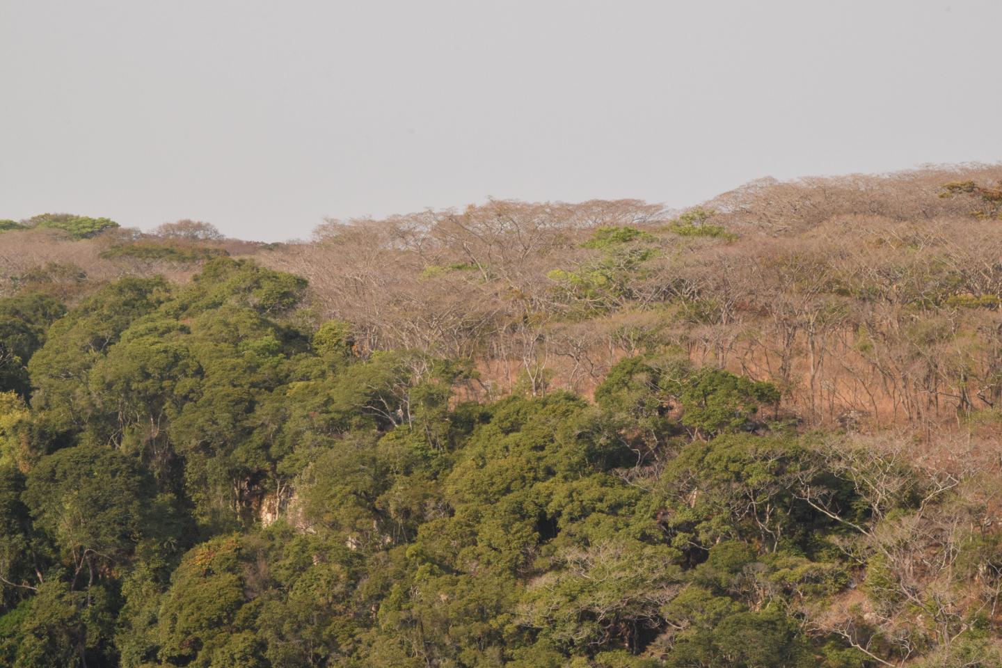 Issa Valley, Tanzania