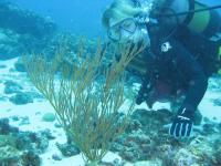 Research Under Water