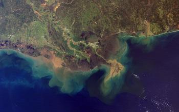 Mississippi Delta