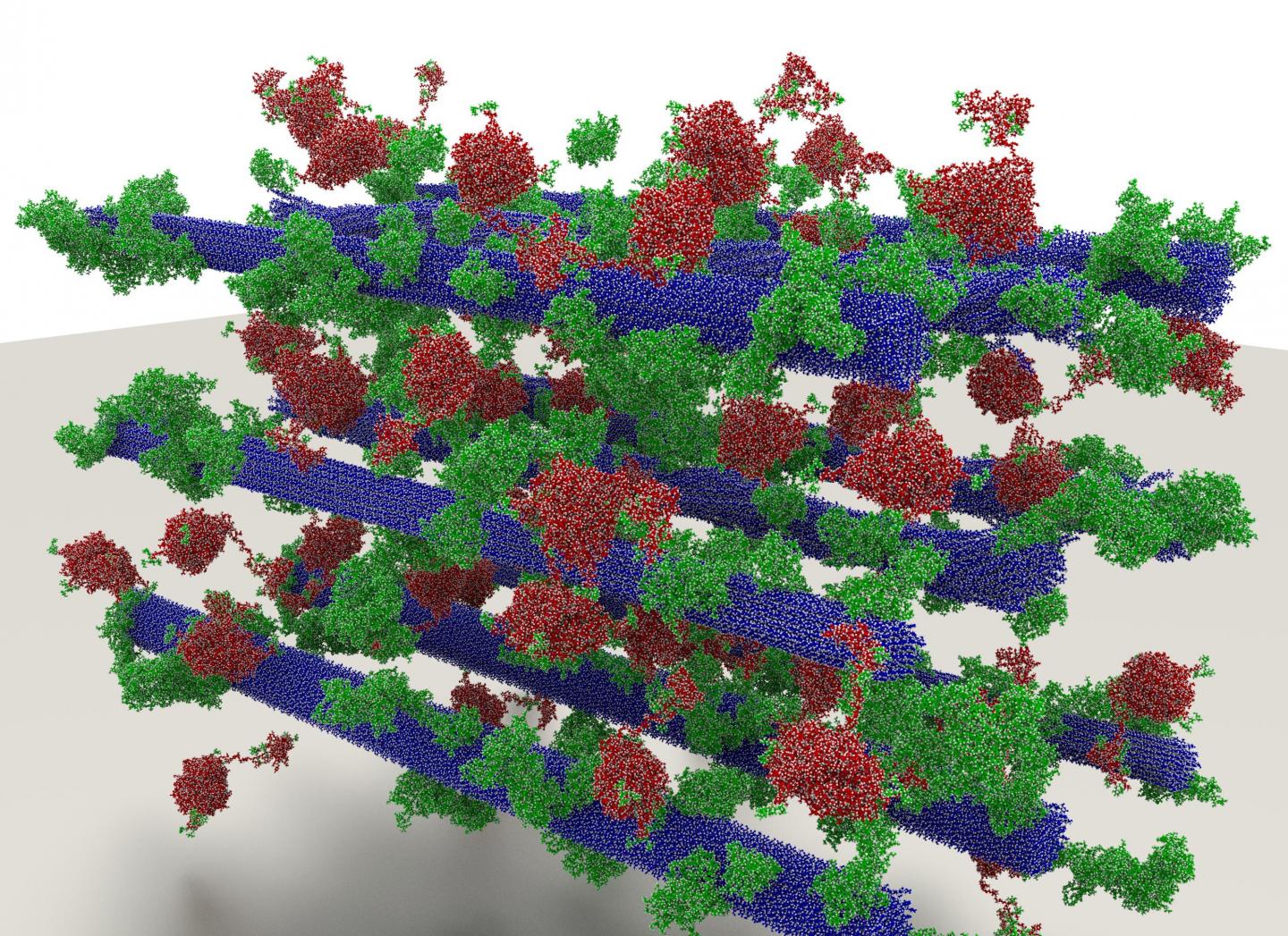Multi-Component Biomass System