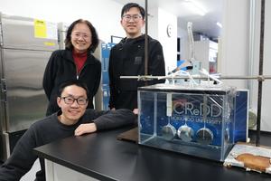 The research group