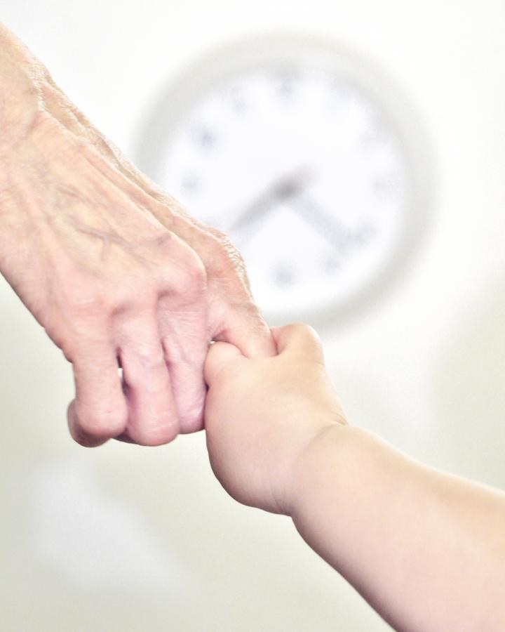 Molecular Clock