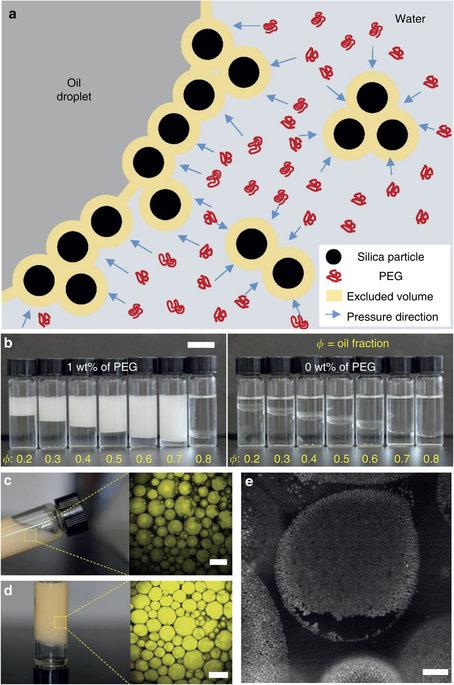 Figure 1. Depletion Attraction used for Pickering Emulsion