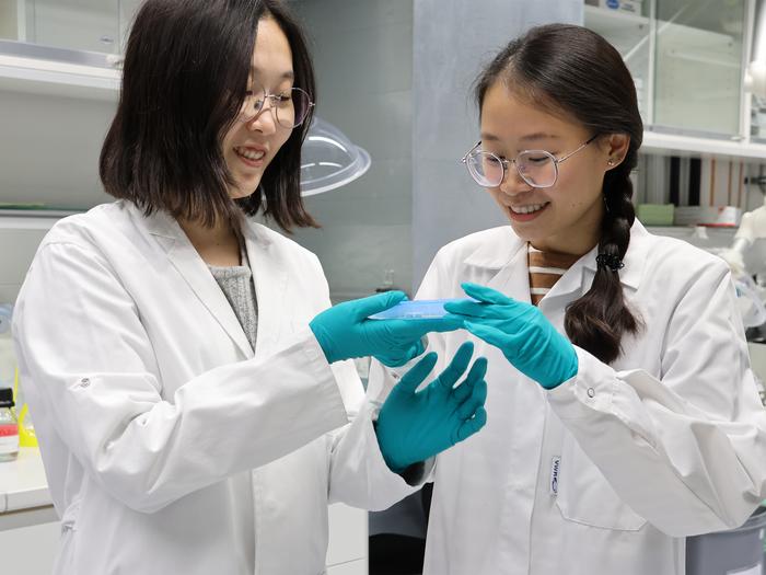 Moonyoung Kang and Hai Anh Vu