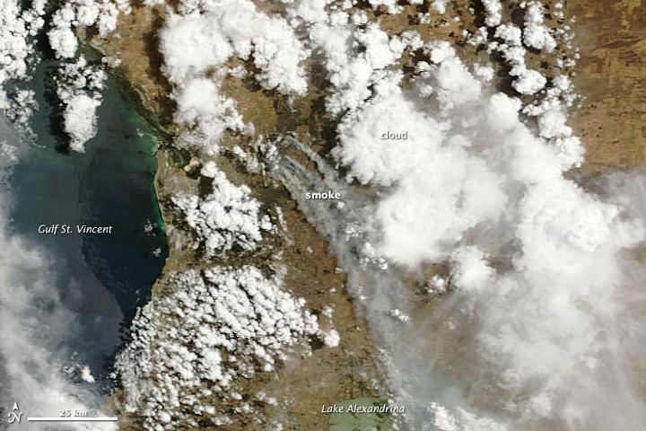 Adelaide Hills Bushfire in Australia