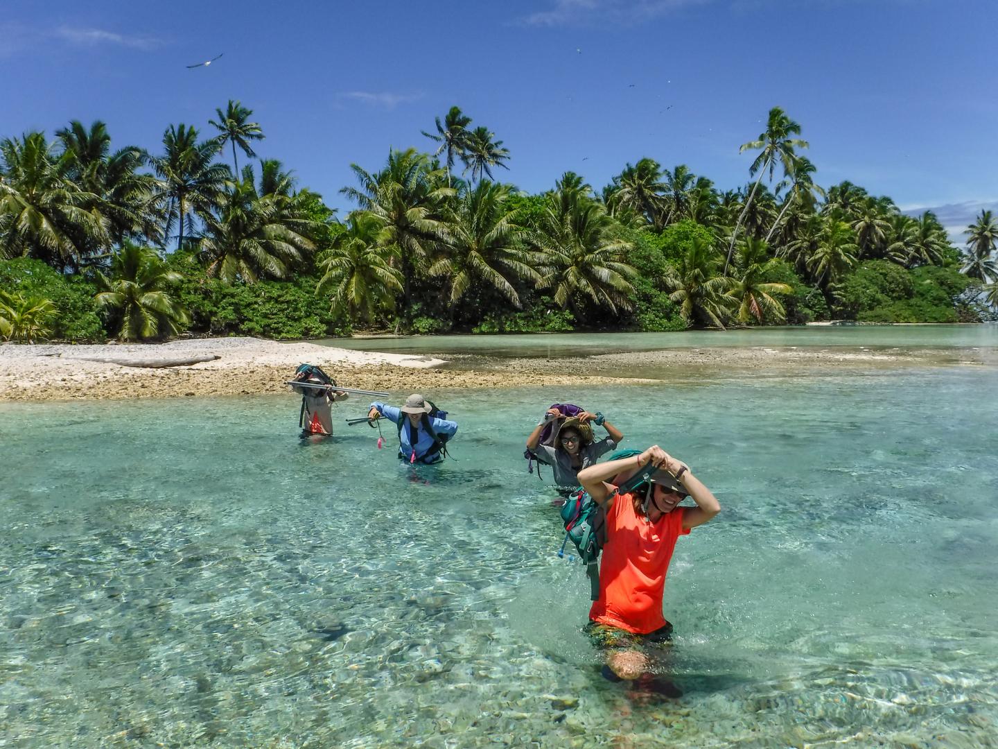 Field Work on Palmyra Atoll, Line Islands