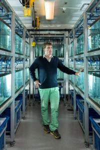 Todd Streelman Studies the Gene-bahavior Connection