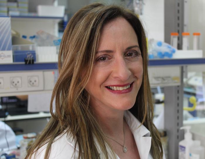 Karen B. Avraham
