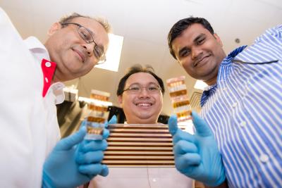 Subodh Mhaisalkar, Sum Tze Chien, and Dr. Nripan Mathews, Nanyang Technological University (1 of 2)