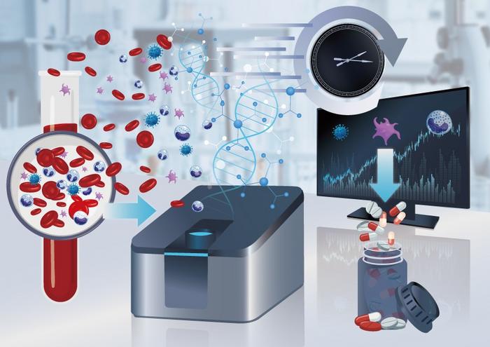 Overview of a rapid diagnostic workflow for fungal bloodstream infections