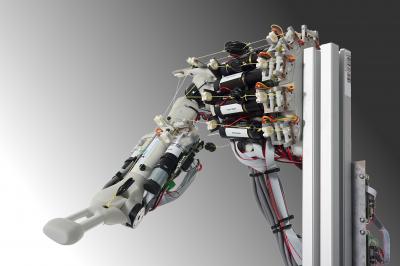Eccerobot -- Prototype of a Neurorobotics System