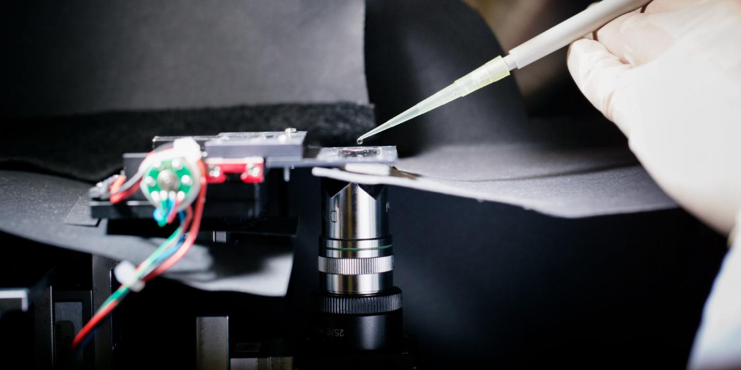 Experimental Setup