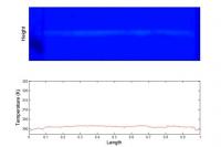 Transient Temperature Response (2 of 2)