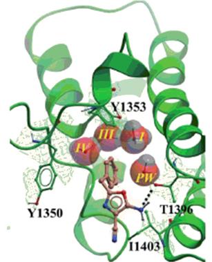 Molecule