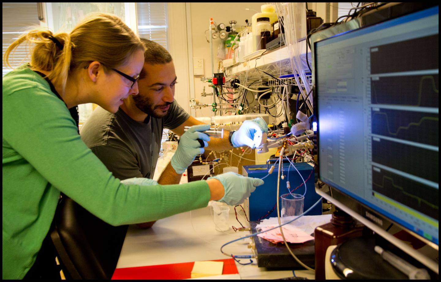 Laboratory Analyses