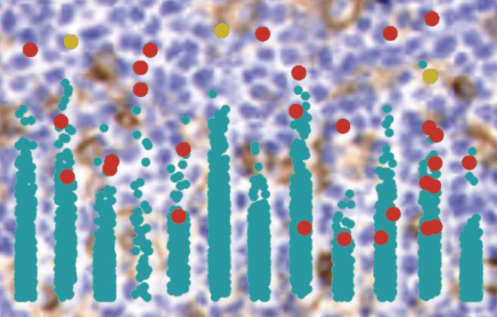 Genetic Mechanism May Predict Effectiveness of Cure for Particular Cancers
