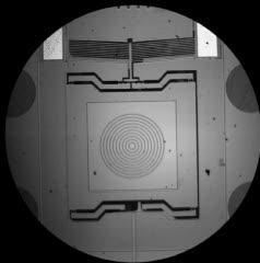 NIST MEMS-based Rheometer (1 of 2)