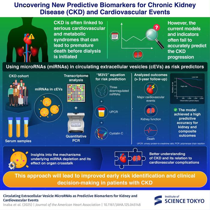 Uncovering New Predictive Biomarkers for Chronic Kidney Disease (CKD) and Cardiovascular Events