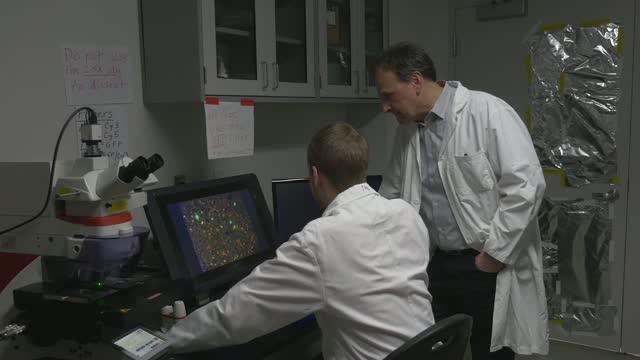 New Molecules Reverse Memory Loss Linked To Depression, Aging
