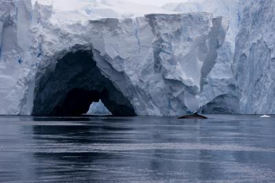 Pine Island Glacier Ice Shelf Upwelling