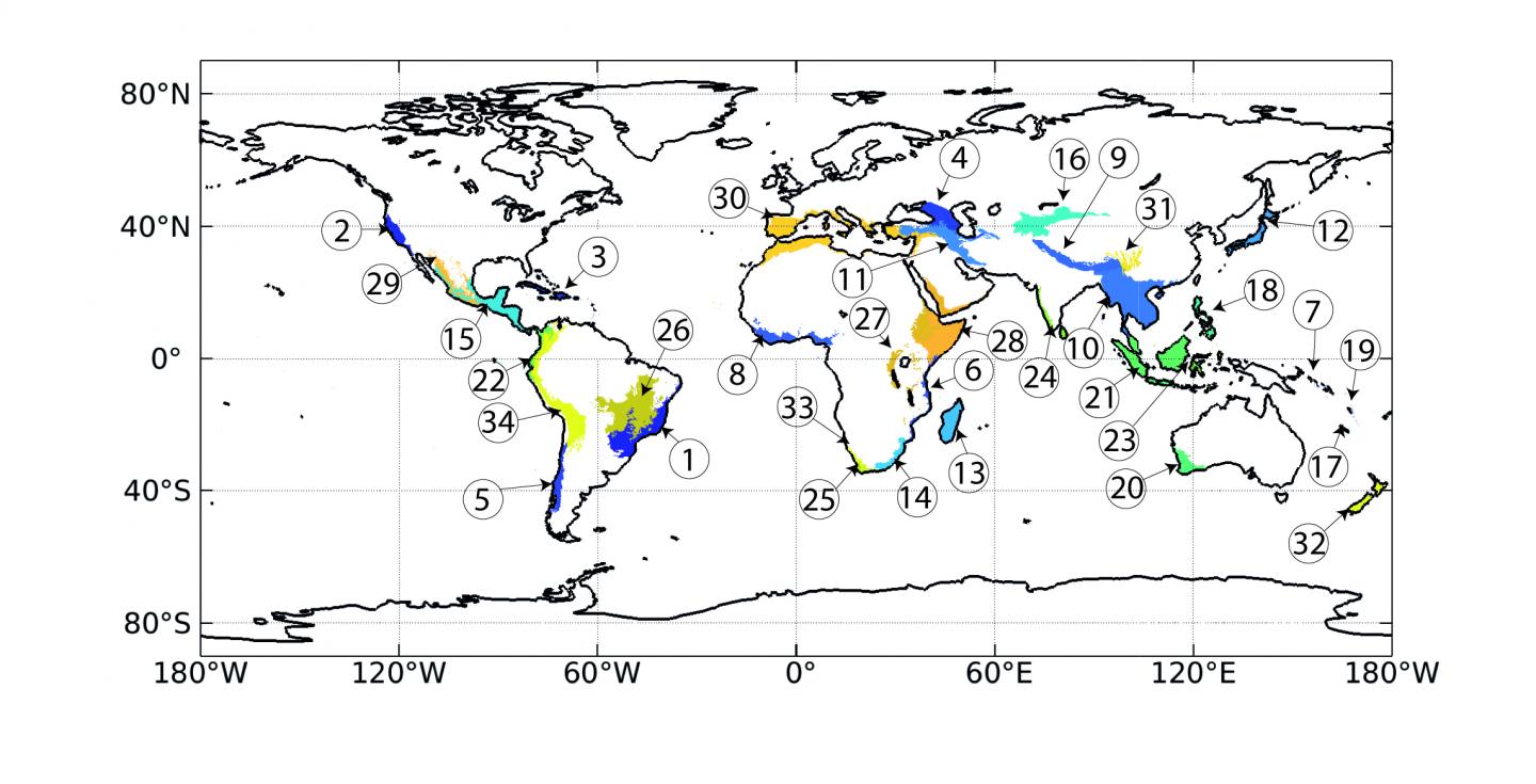 Biodiversity Hotspots Span the Globe