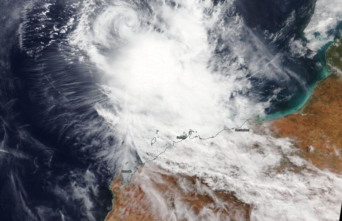 Terra Image of Wallace