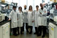 Researchers
