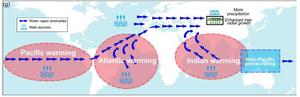 Hydroclimatic responses and tree radial growth due to low-latitude warming.