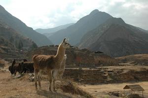 Chavin de Huantar