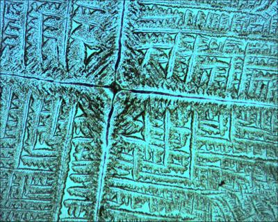 Bacteria Manipulate Salt to Build Shelters to Hibernate