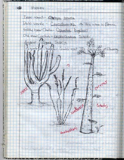 Field Work Notes