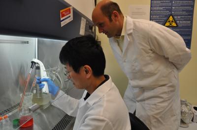 Gang Chen and Joao Pedra,   	 University of California - Riverside 