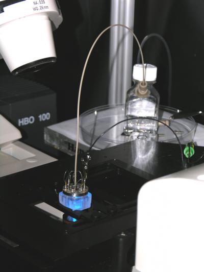 New Miniaturized Device for Lab-on-a-Chip Separations