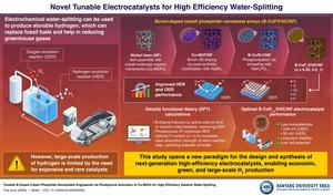 Innovative Electrolyzer Development for Large-Scale Green Hydrogen Production