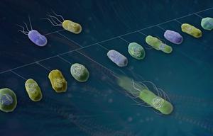 Microbial QTL mapping