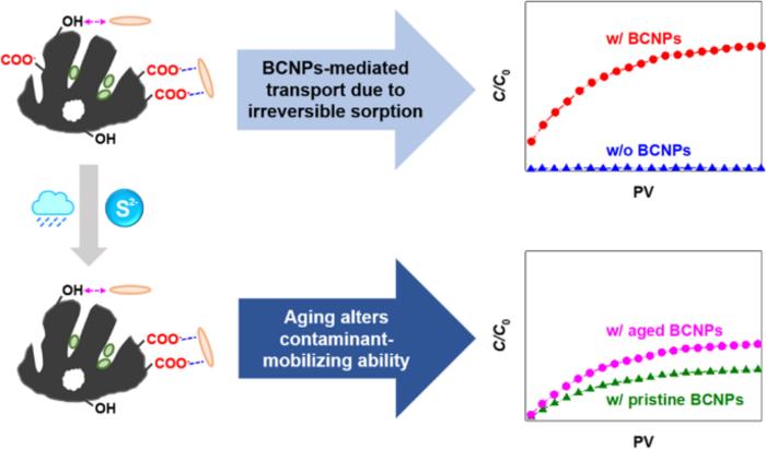 Biochar nanoparticles-mediated transport of organic contaminants in porous media: dependency on contaminant properties and effects of biochar aging