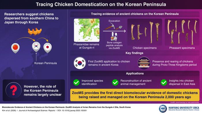 Tracing Chicken Domestication on the Korean Peninsula