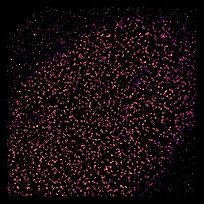 The Universe Within