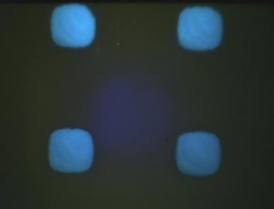 Organic LED Light