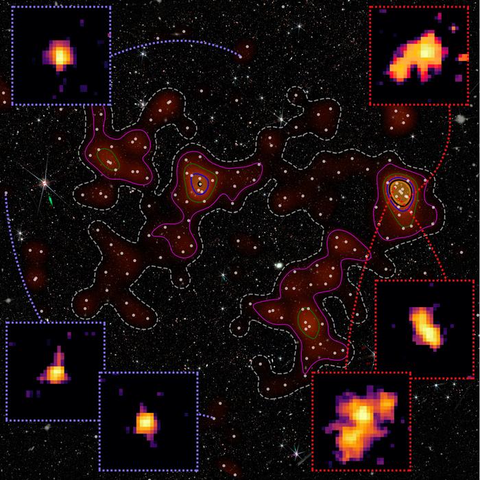 A false-color composite image of the Loktak Protocluster Region combining observations from the Hubble Space Telescope and JWST