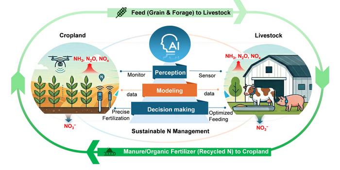 Artificial intelligence empowers sustainable agricultural nitrogen management