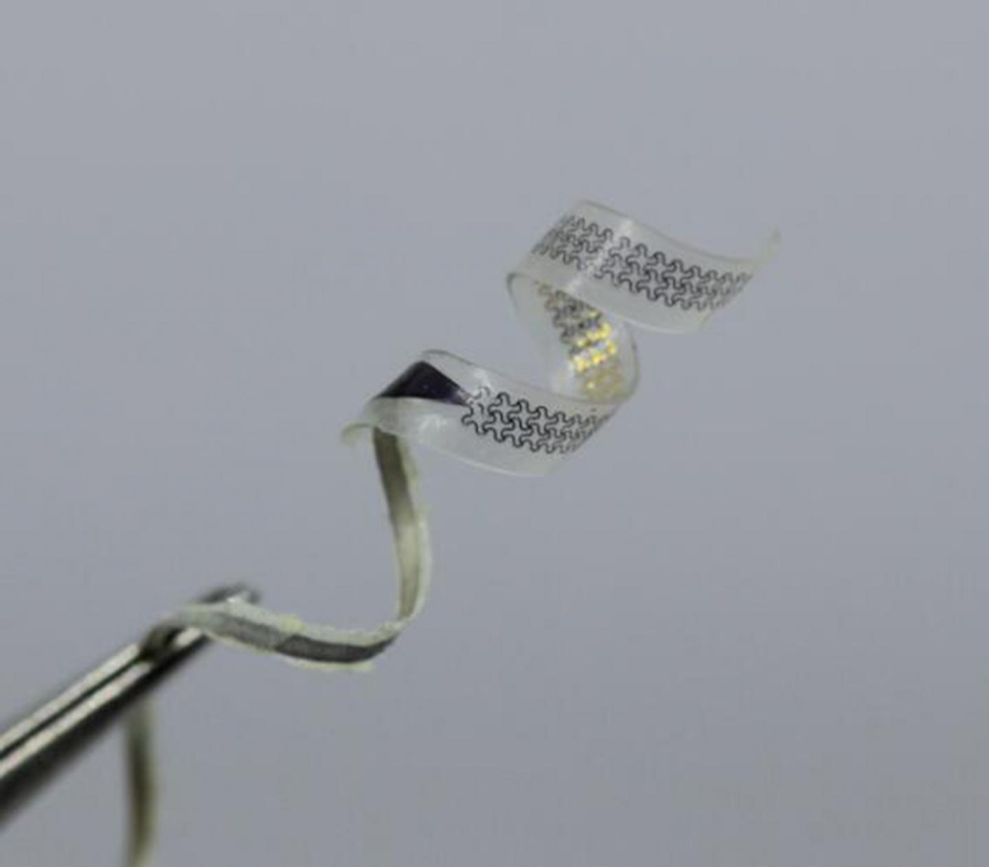 Climbing-Inspired Twining Electrodes Using Shape Memory (4 of 6)