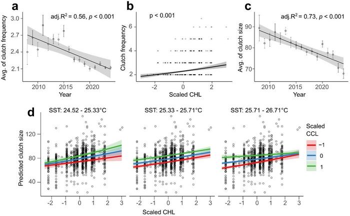 Trends and predictors of clutch frequency and size in loggerhead turtle from Sal Island.