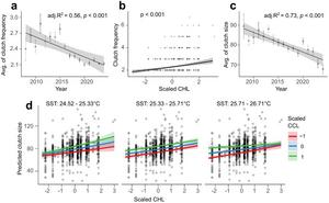 Trends and predictors of clutch frequency and size in loggerhead turtle from Sal Island.