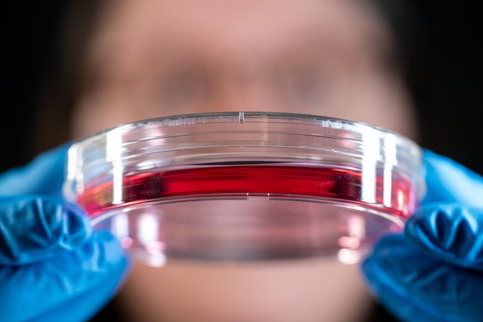 St. Jude launched an initiative to bring down costs and improve how many T cells could be processed, creating the Throughput-Intensive Rapid TCR Library sequencing (TIRTL-seq) method.